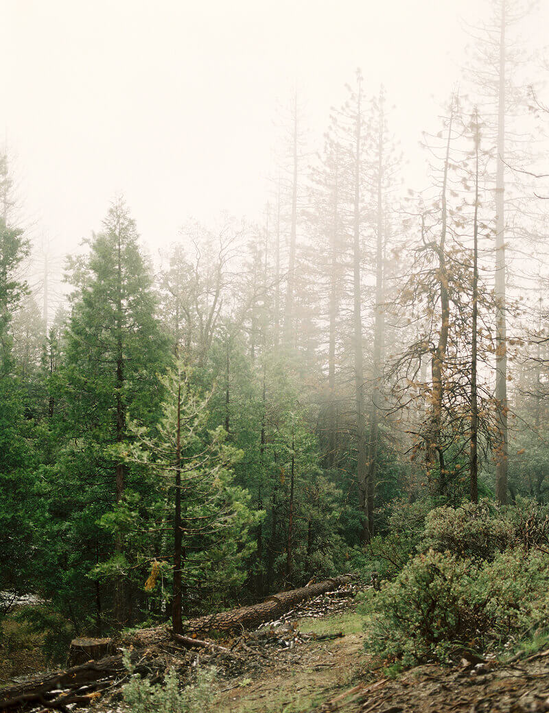 environmental-non-profit-22b