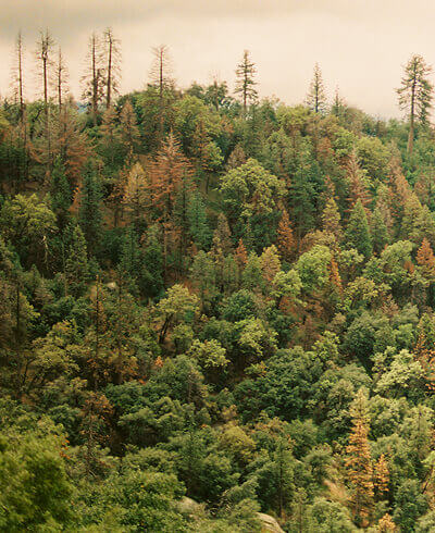 environmental-non-profit-33